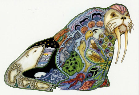 Walrus by Sue Coccia