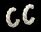 Mammoth Ivory Earrings- Twist Hoop