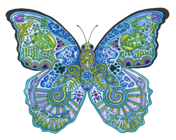 Blue Morpho Butterfly by Sue Coccia
