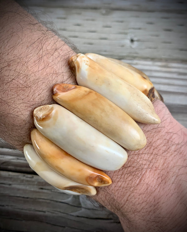 Walrus Tooth/Ivory Bracelet