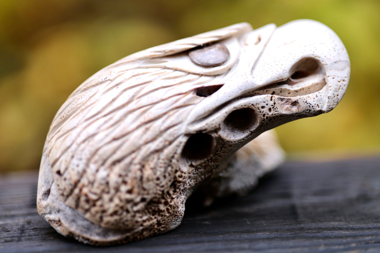 Walrus Jawbone Carving- Eagle