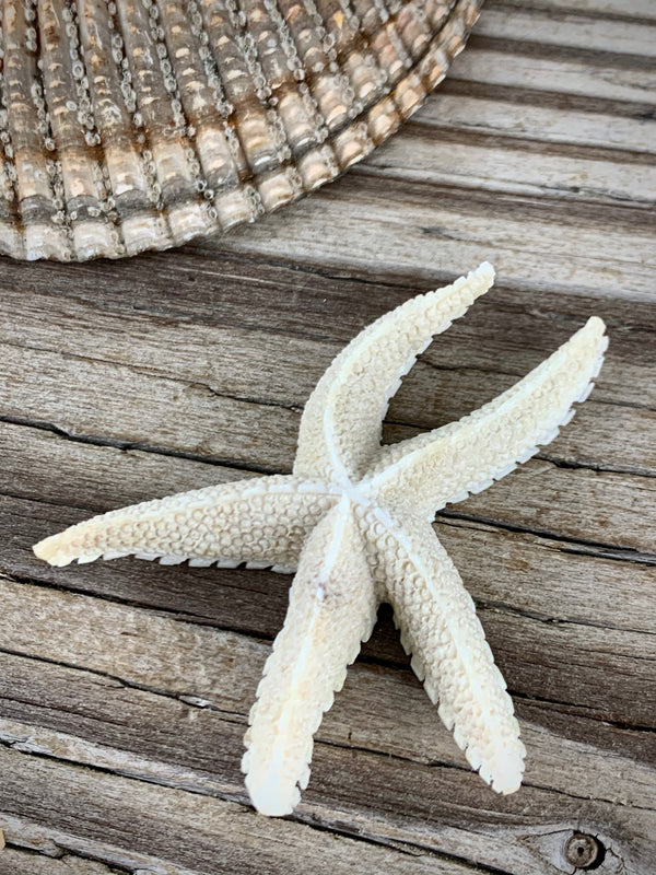 Starfish