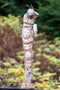 Salmon Fishing Totem Pole