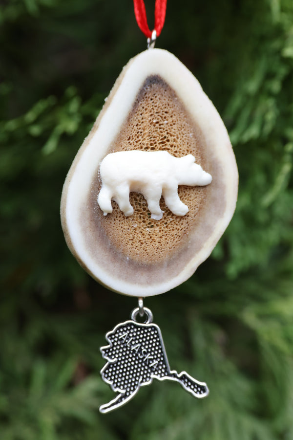 Antler Ornament - Bear