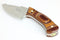 Moose Knife - Dymondwood Handle