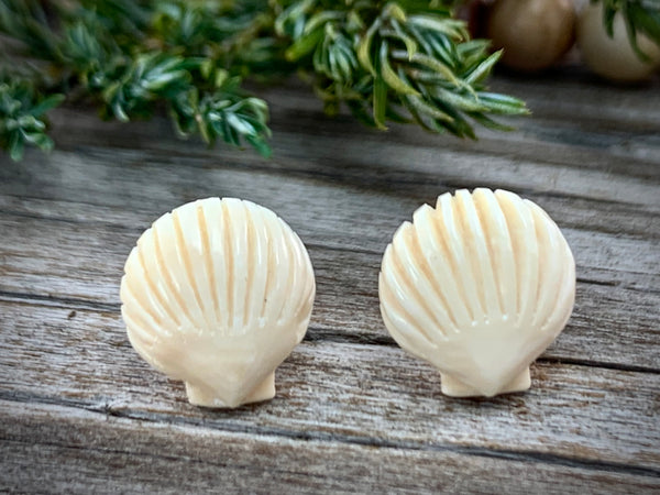 Shell Earrings
