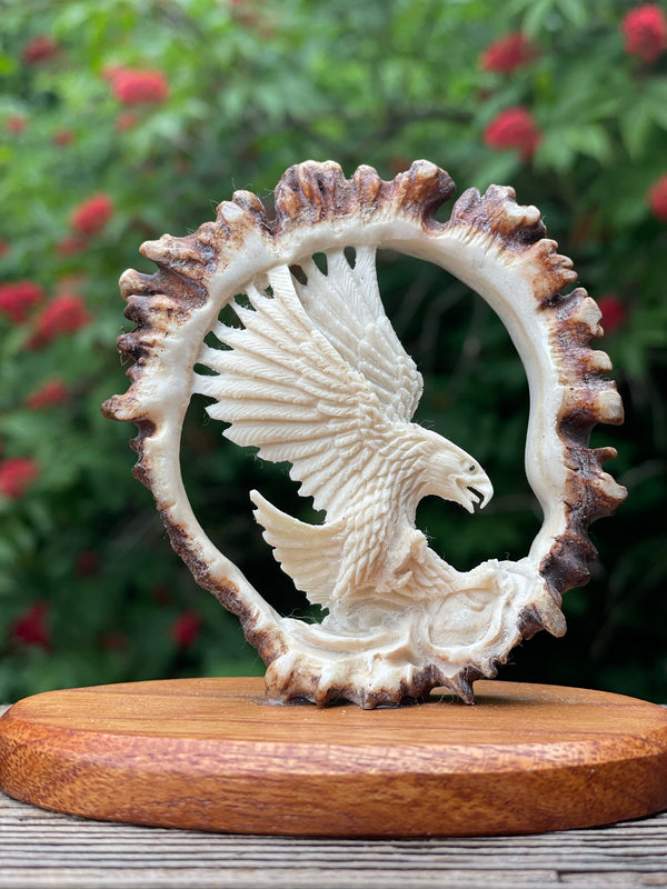 Moose Antler ~ Eagle