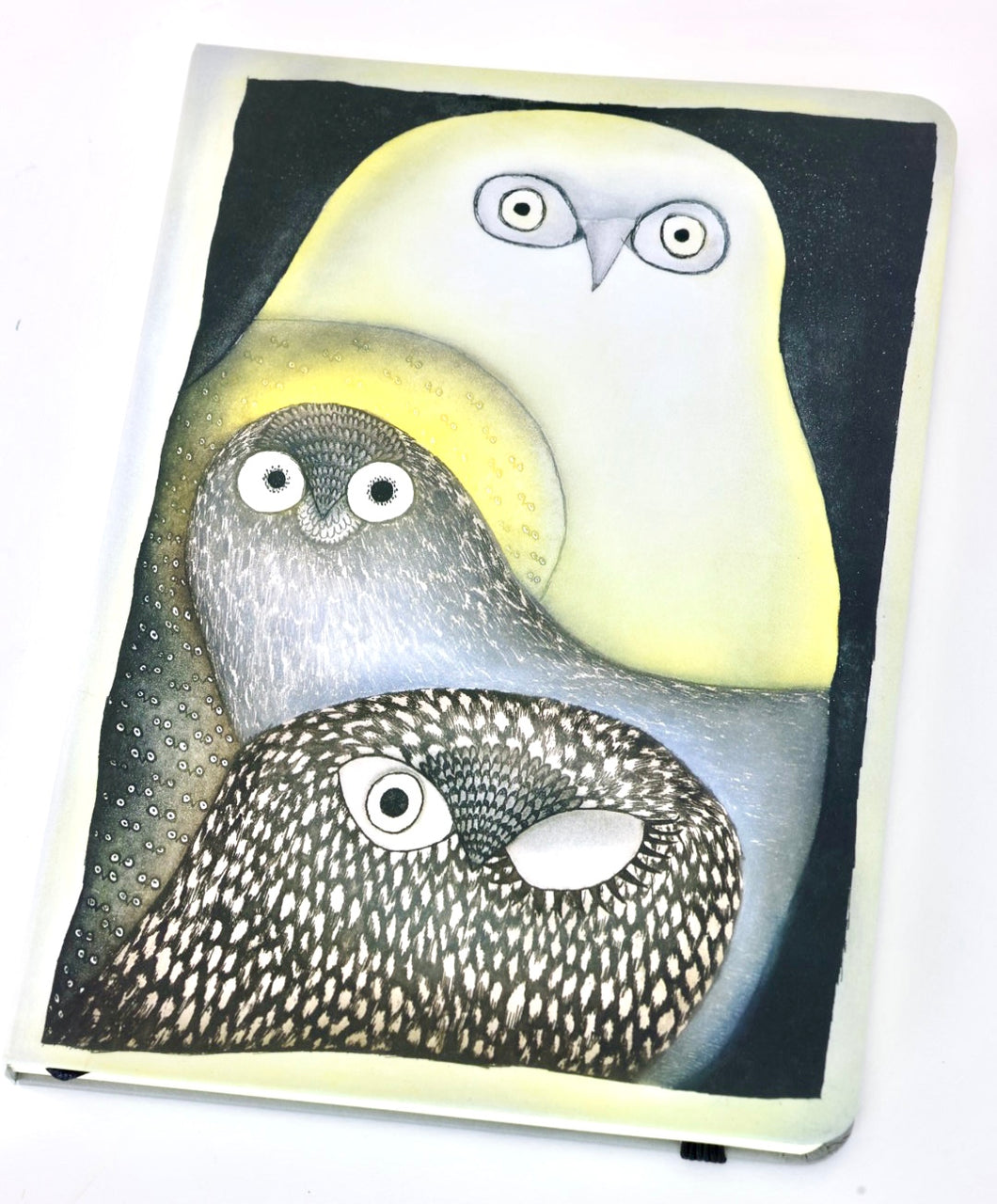 Owl in Moonlight Journal