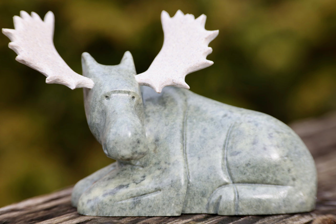 Moose