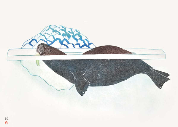 Walrus in Ice